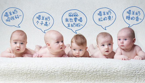 產品gongx作用.jpg